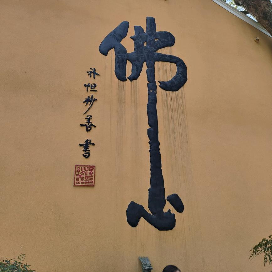 月亮🌙姐姐
