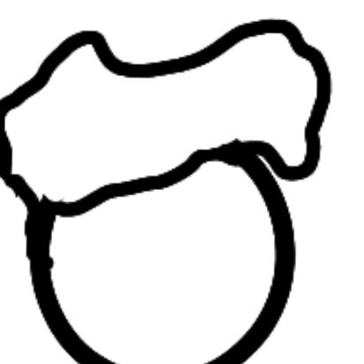 EIRK