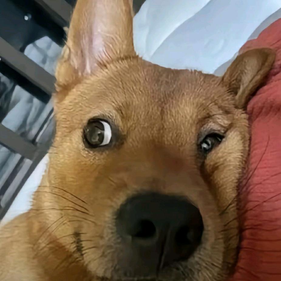你是不是看了我一眼？