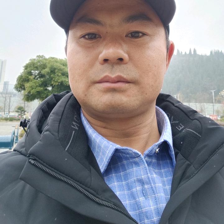 田哥特效