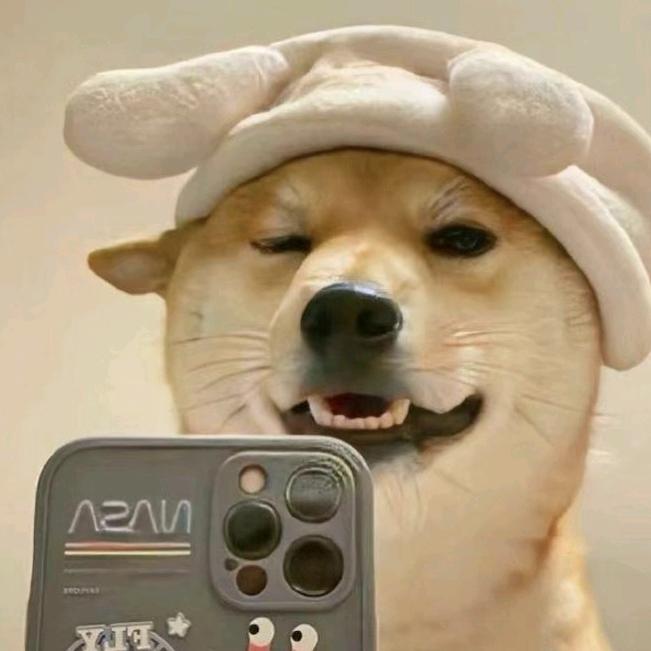 偡