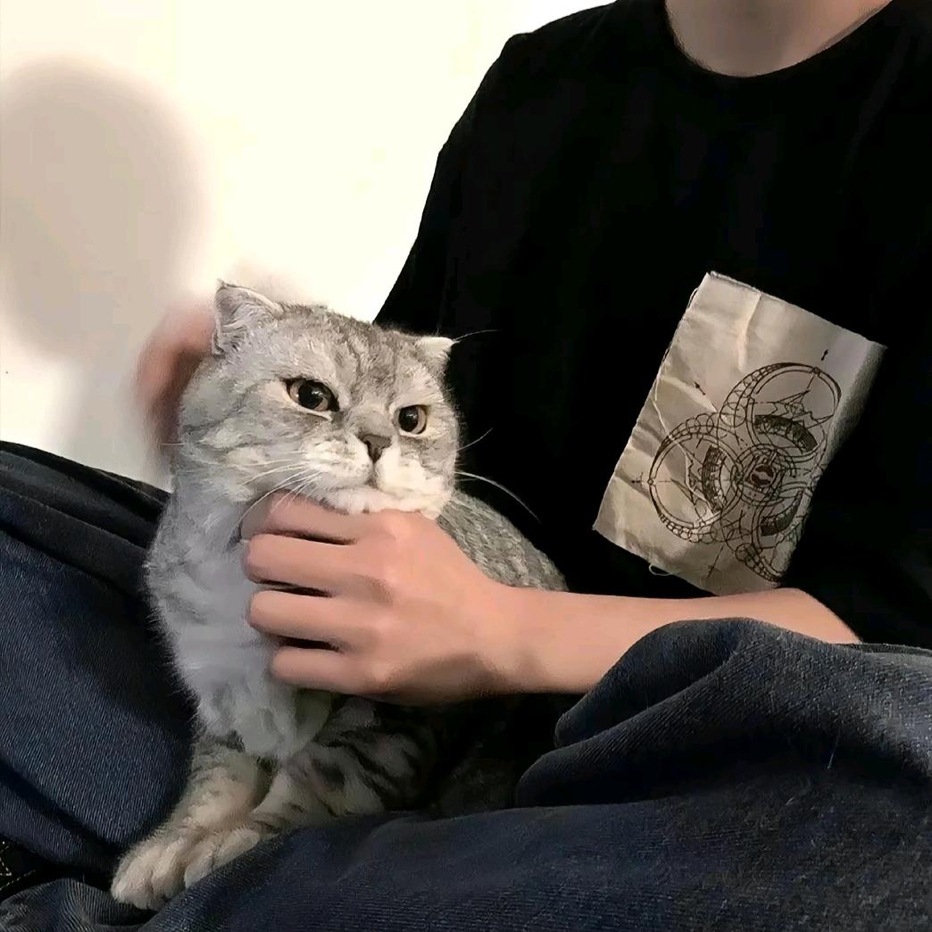 犟驴