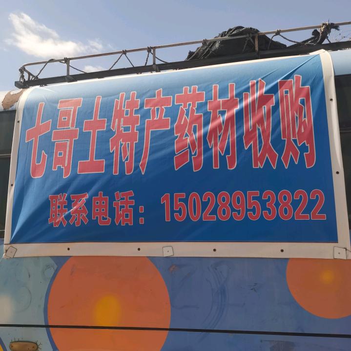 山哥，