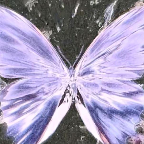 棉花糖里没棉花