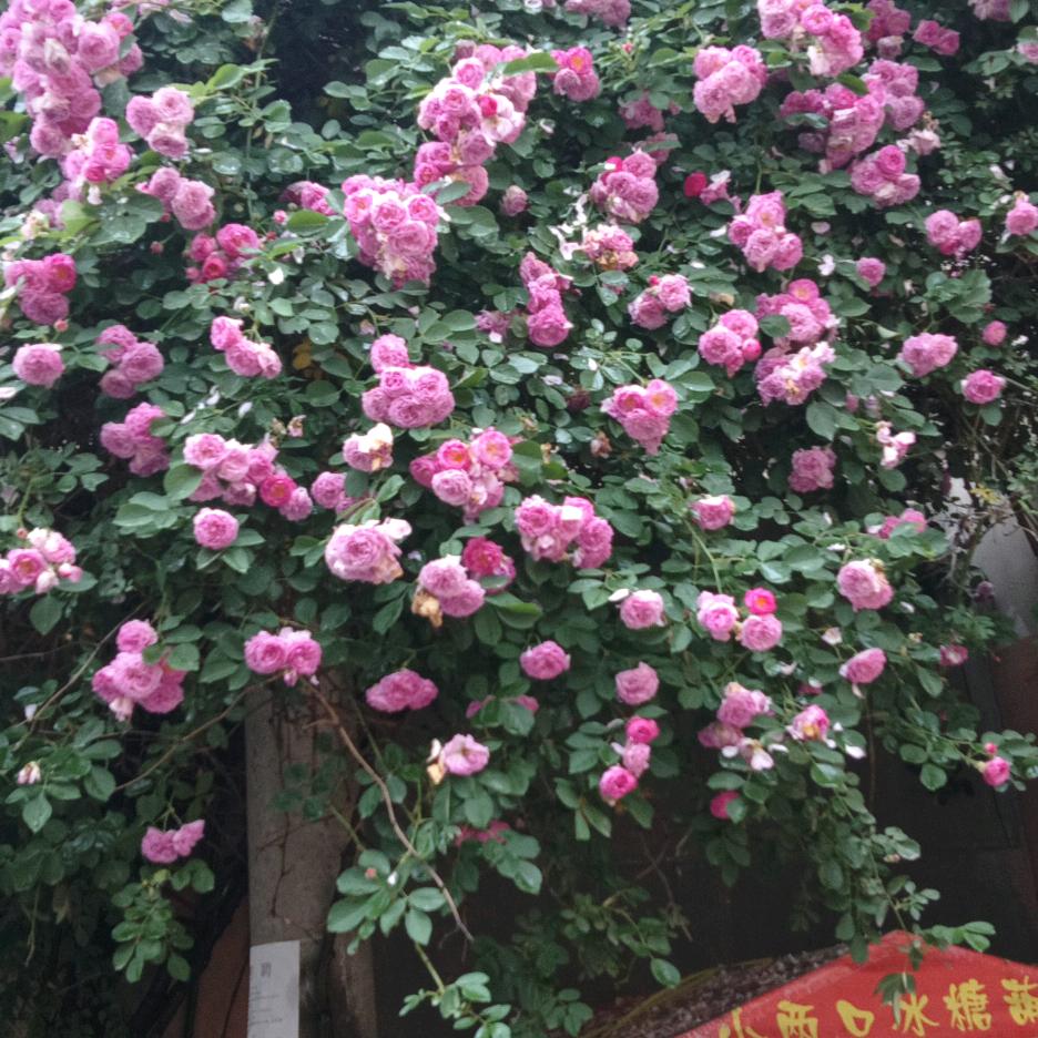 三月（让心归零）