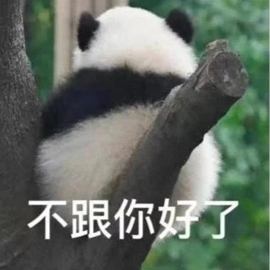 小屁孩