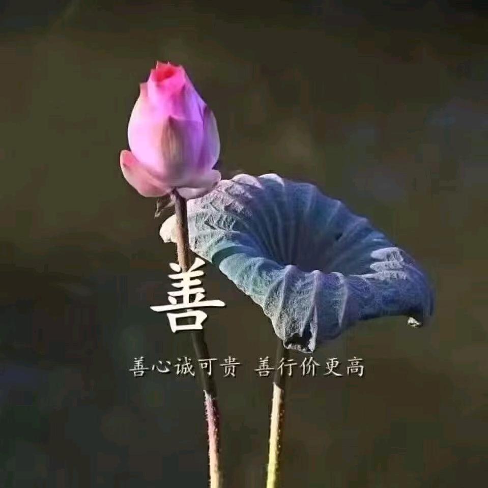 梦兮