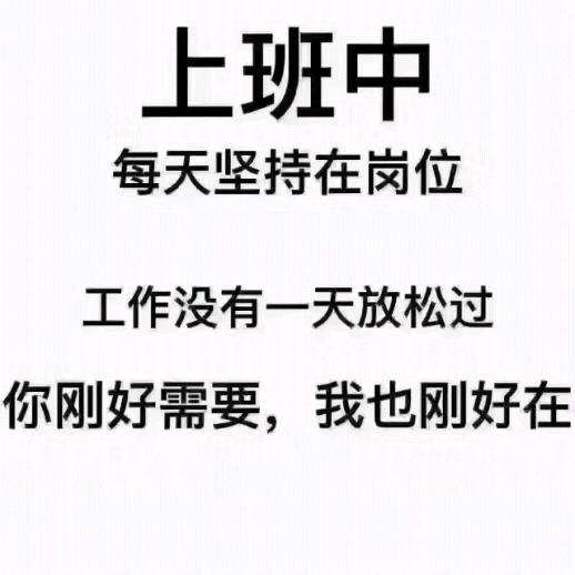 9216—11芬姐姐