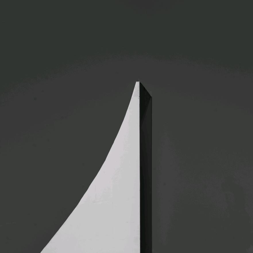 橘子皮