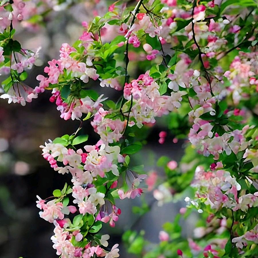 无业小游民🙈🙈