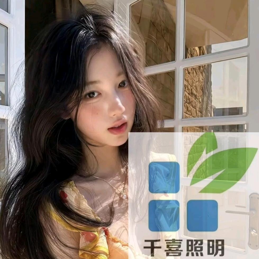 千喜照明昆虫灯厂家-西西