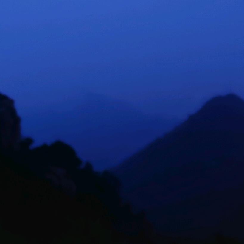 流金岁悦