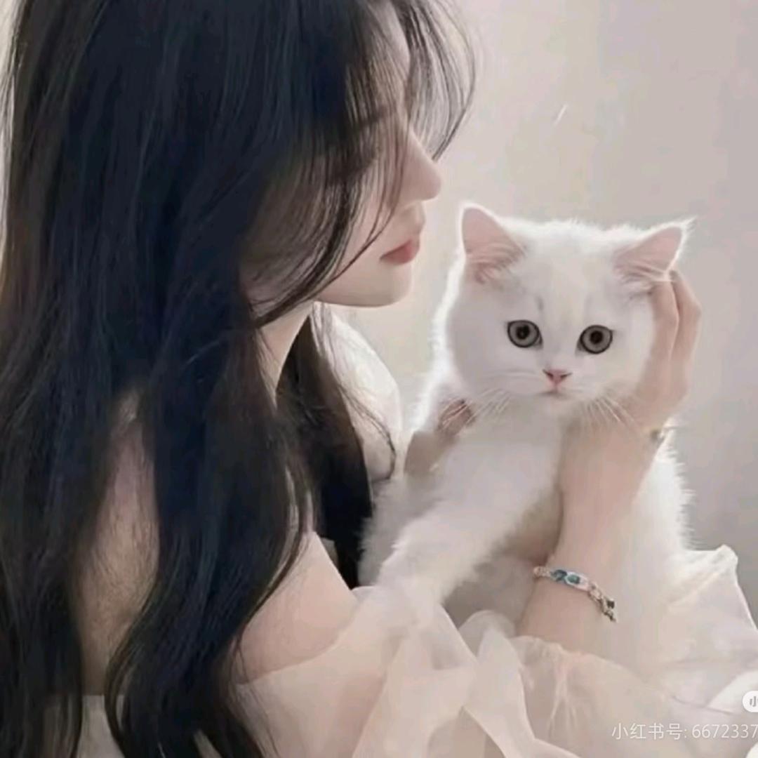 团子爆爆
