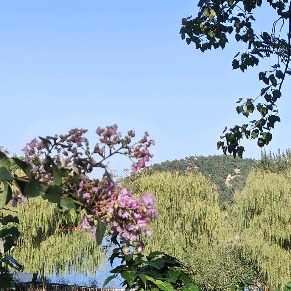 不要冷冰冰 不要说反话๓