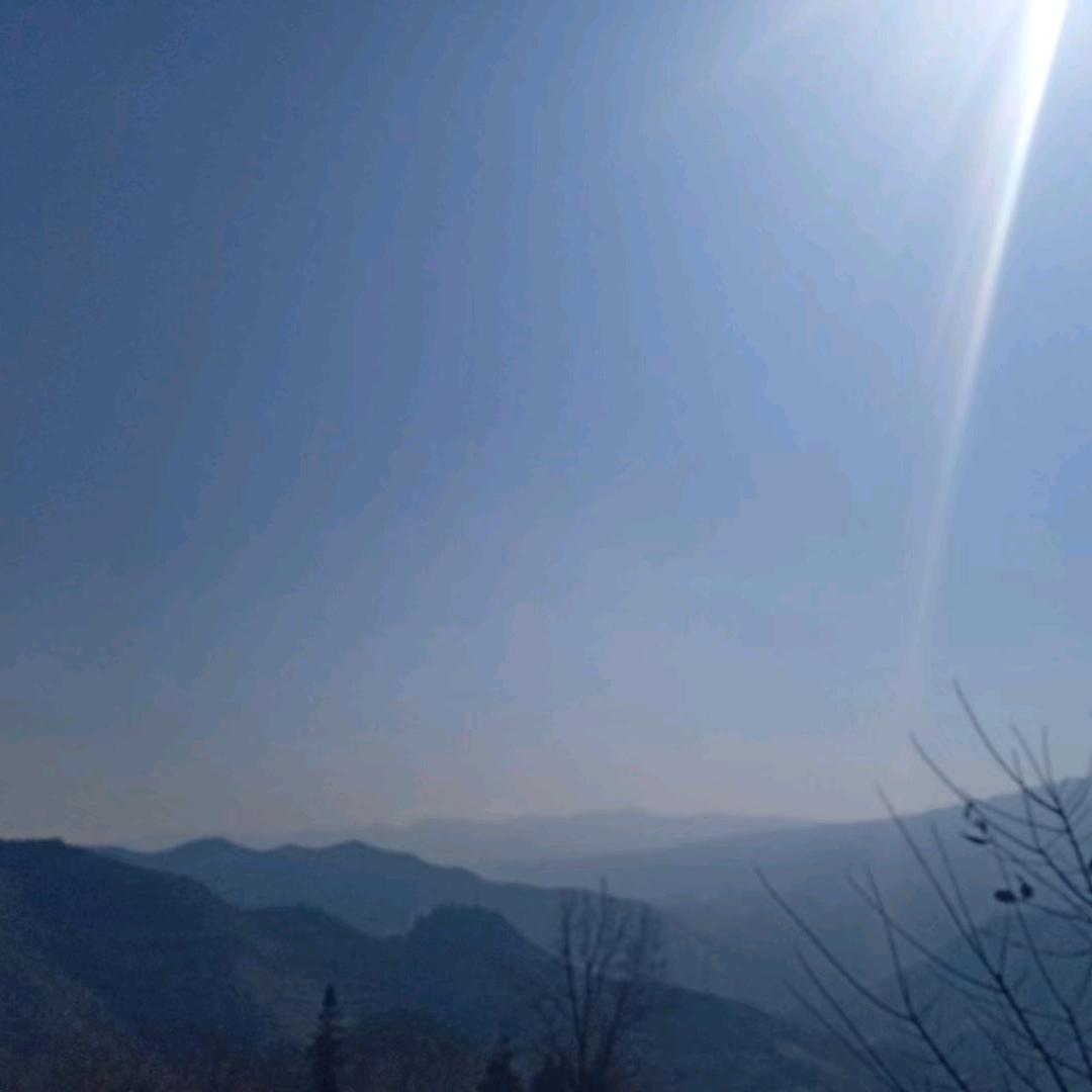 卢卢大顺