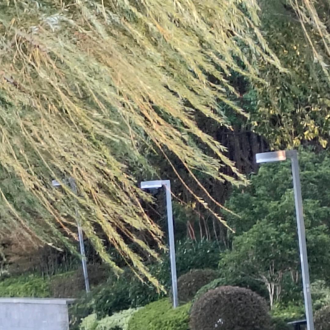 ╅相爱一辈子ㄋ