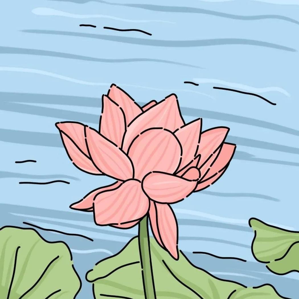 张花花开花了🌸