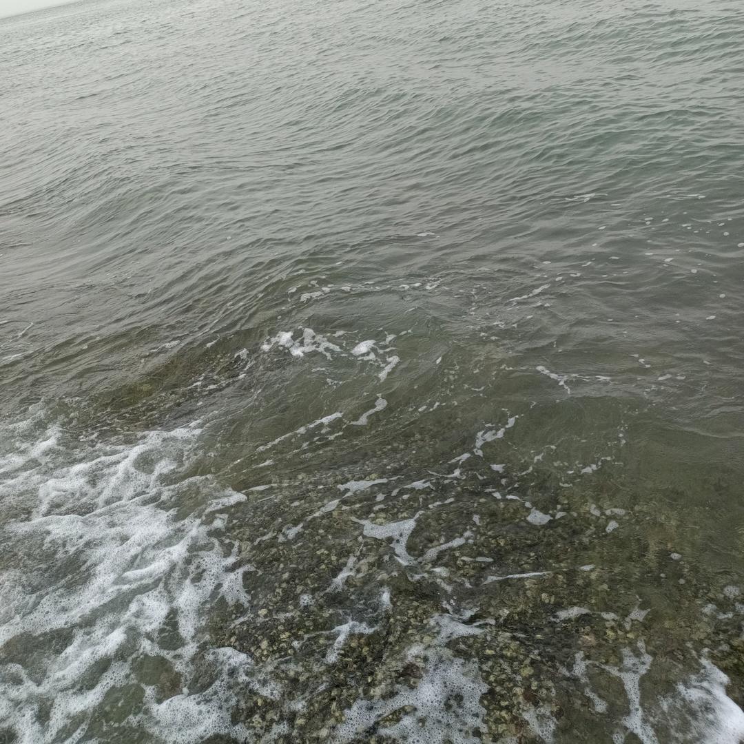 敏。