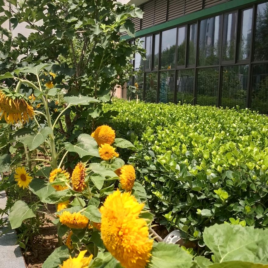 永闯天涯