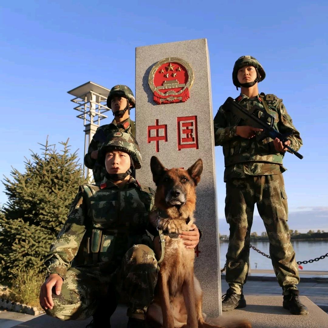 🇨🇳为祖国站岗🇨🇳