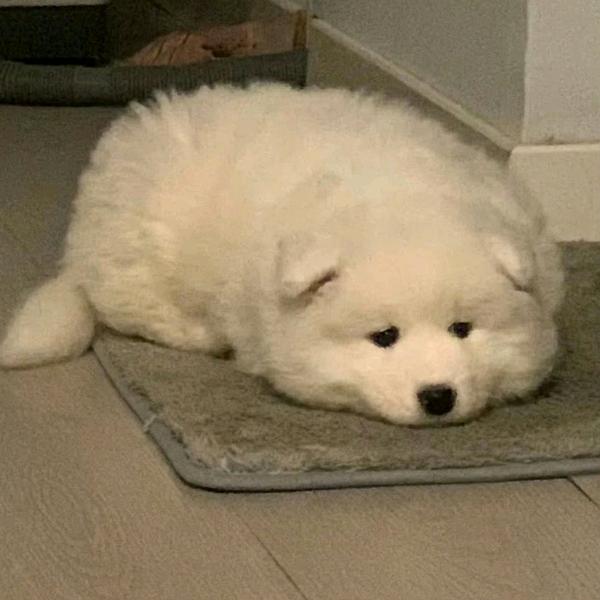 oooooo