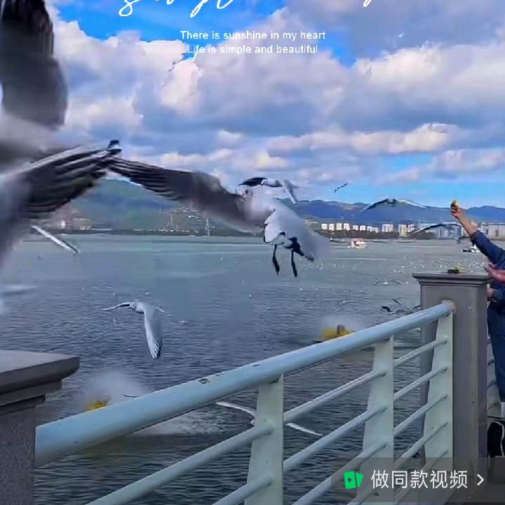 顺风