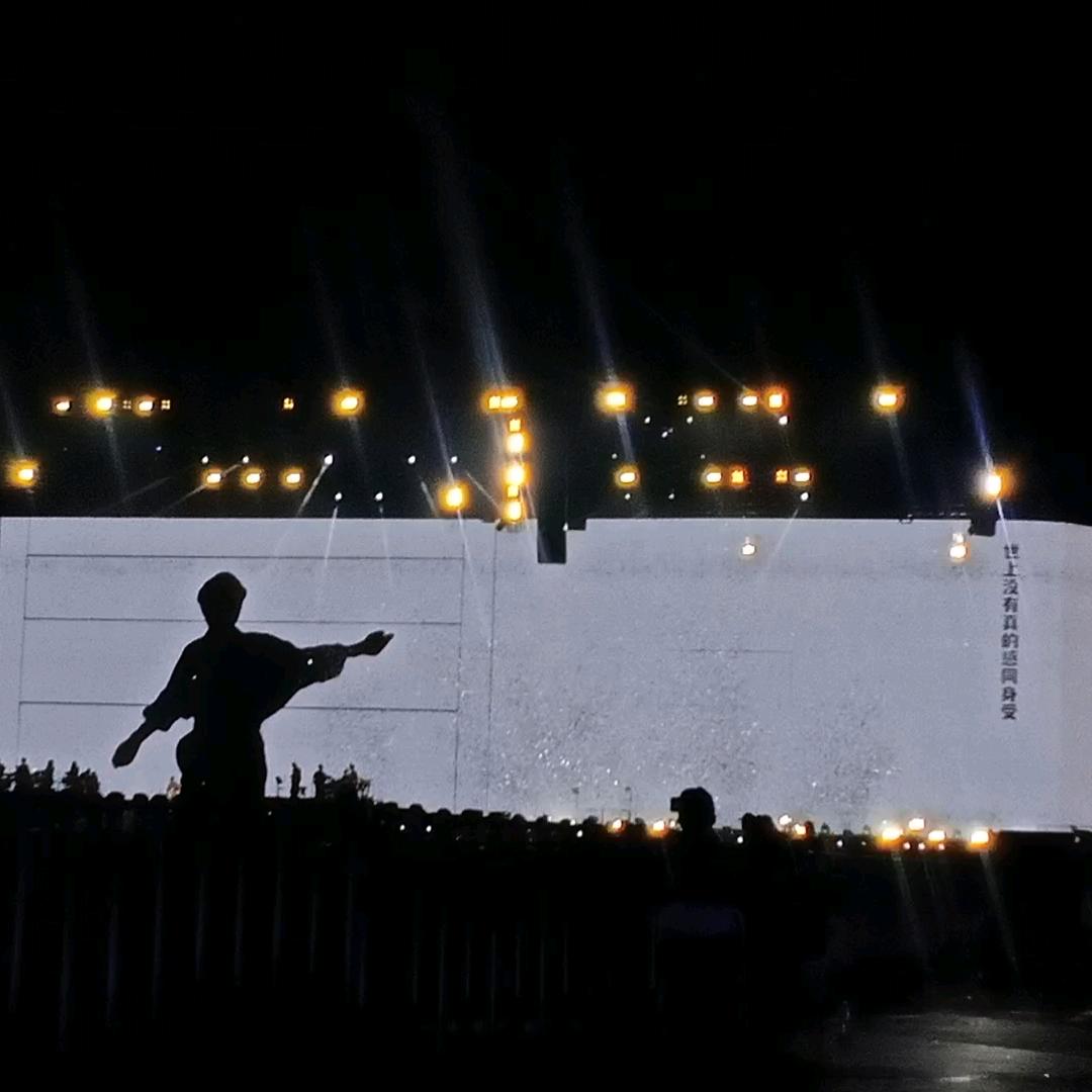 把香菜种满碗里