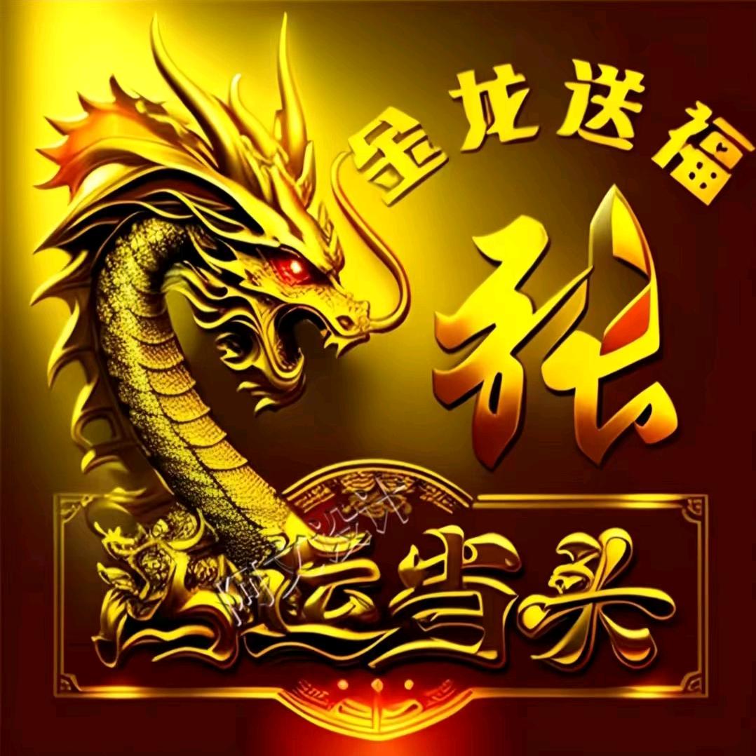 宠物专柜007