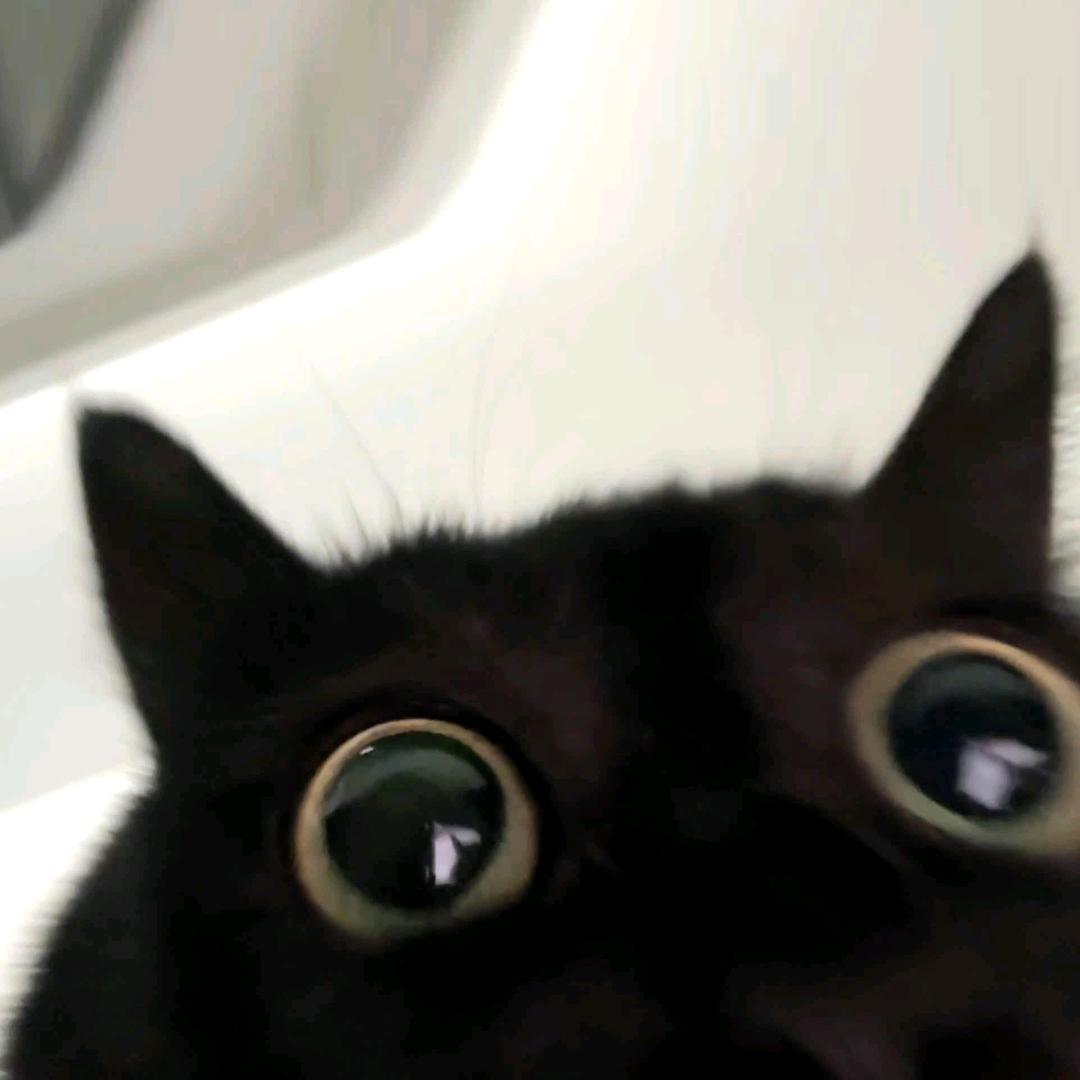 小武