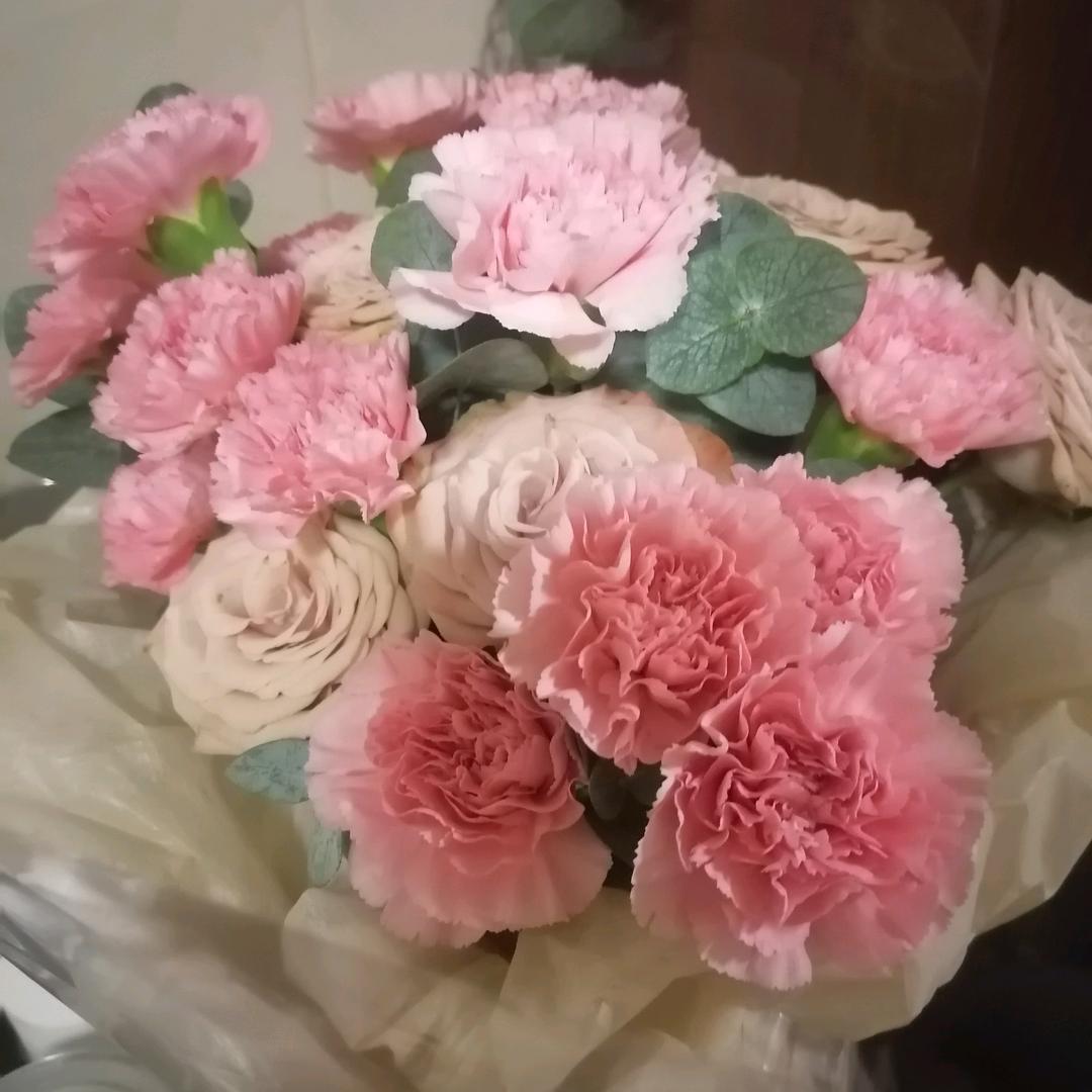 我的淡然看世界