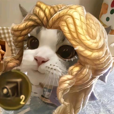 星星大王（起号帶货版）