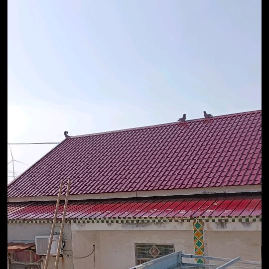 徐树洋彩钢瓦安装