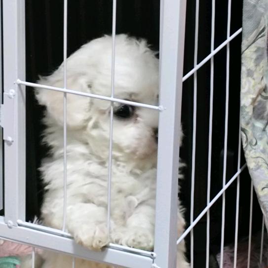 每天一瓶矿泉水