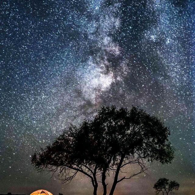 三念