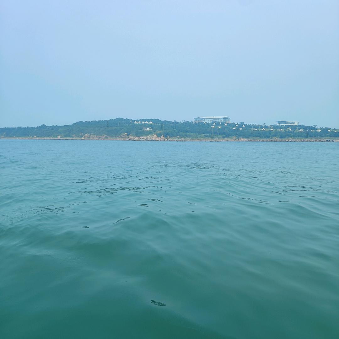 🌻⁸⁰⁶美丽梦想