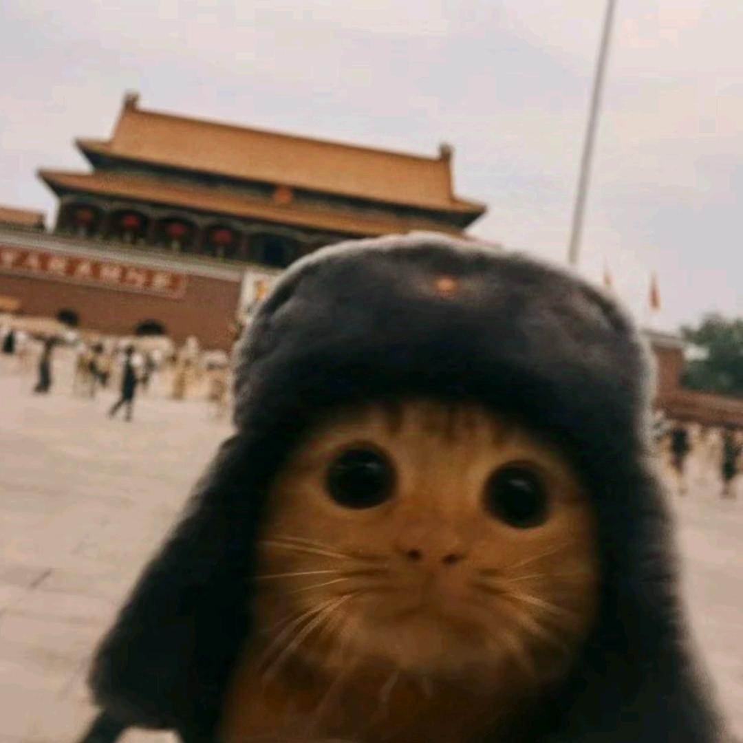 一条鱼🐋🐋