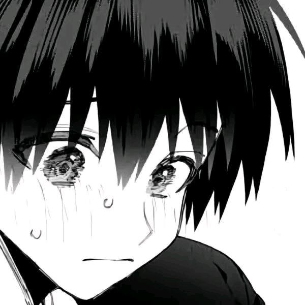 屿.