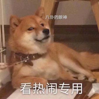 小马不会突破