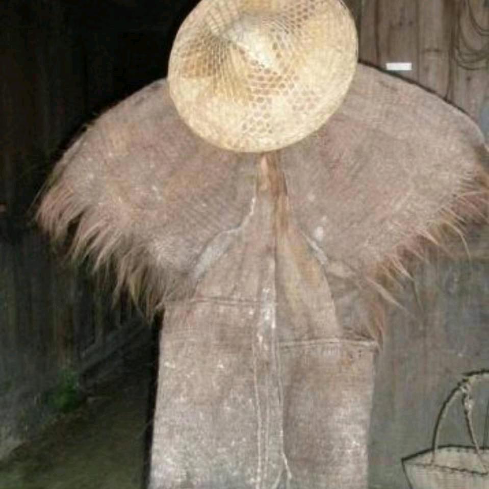 玩