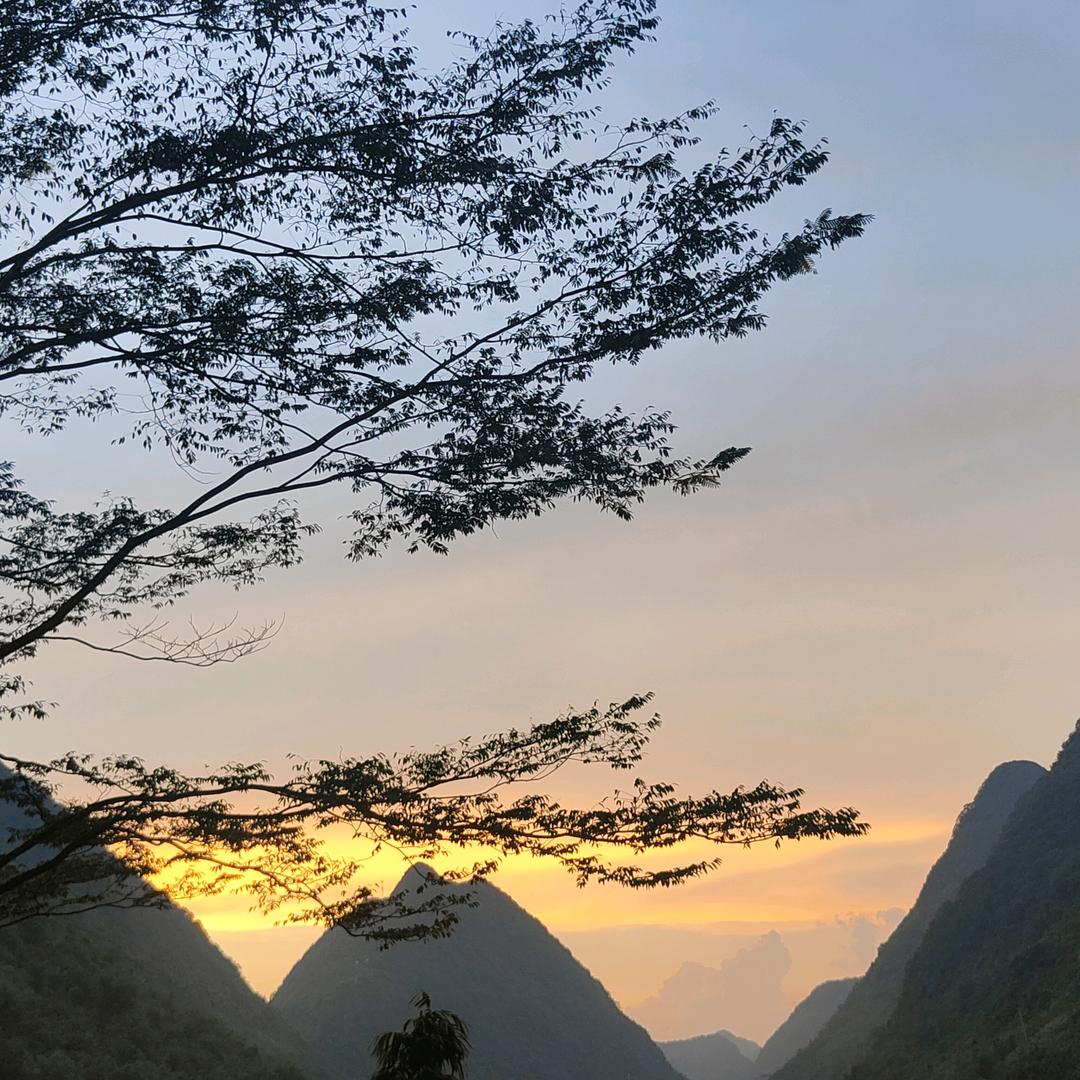 粉丝包