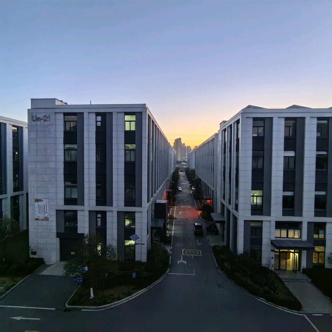 太阳与人心我不敢直视