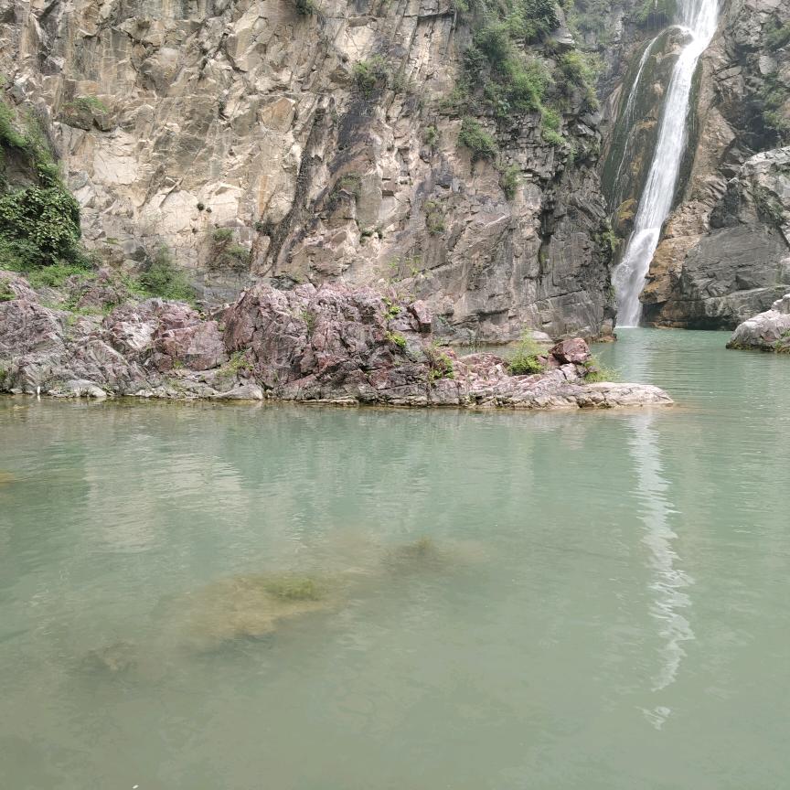 zhao赵（好物分享）