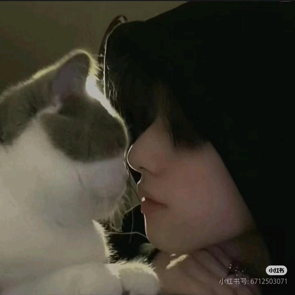 顾婉婷