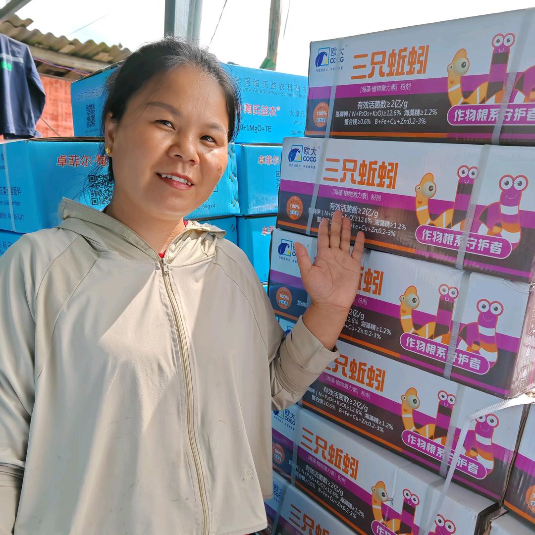 三只蚯蚓.广西区域负责人