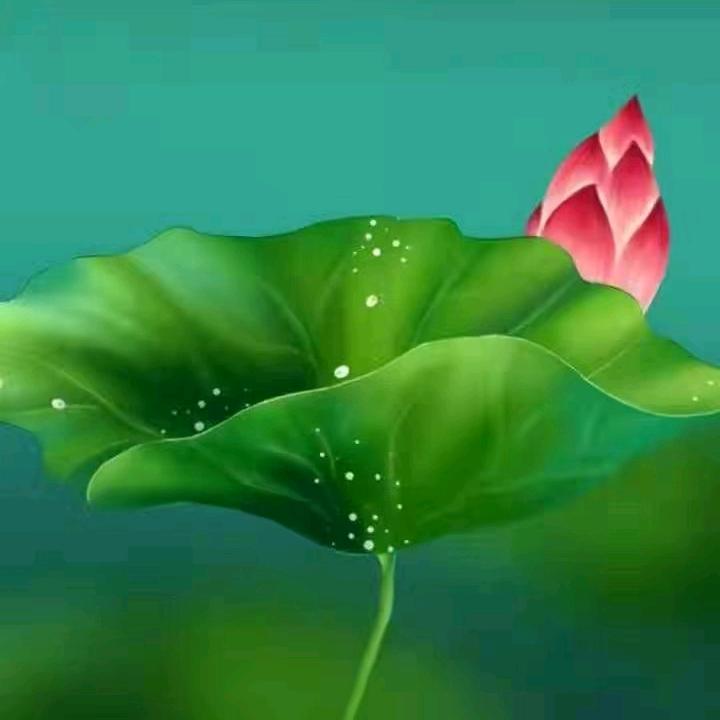 不弃