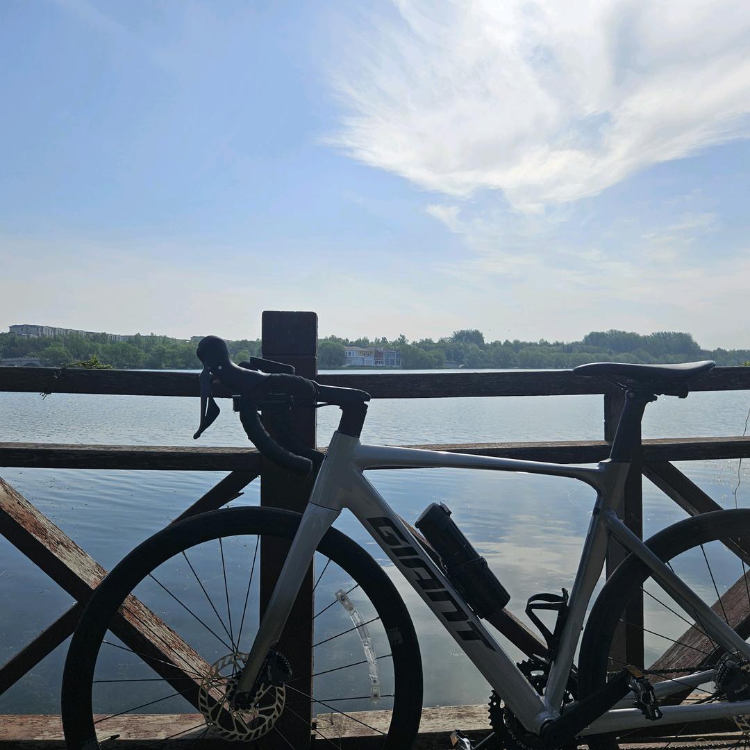 小小太阳高高升起