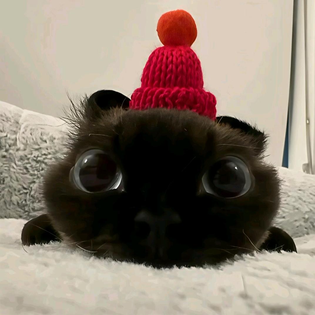 汤圆(๑•̌.•̑๑)