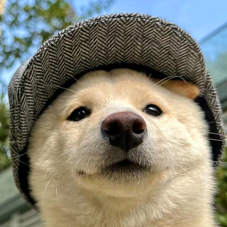 花嘟嘟
