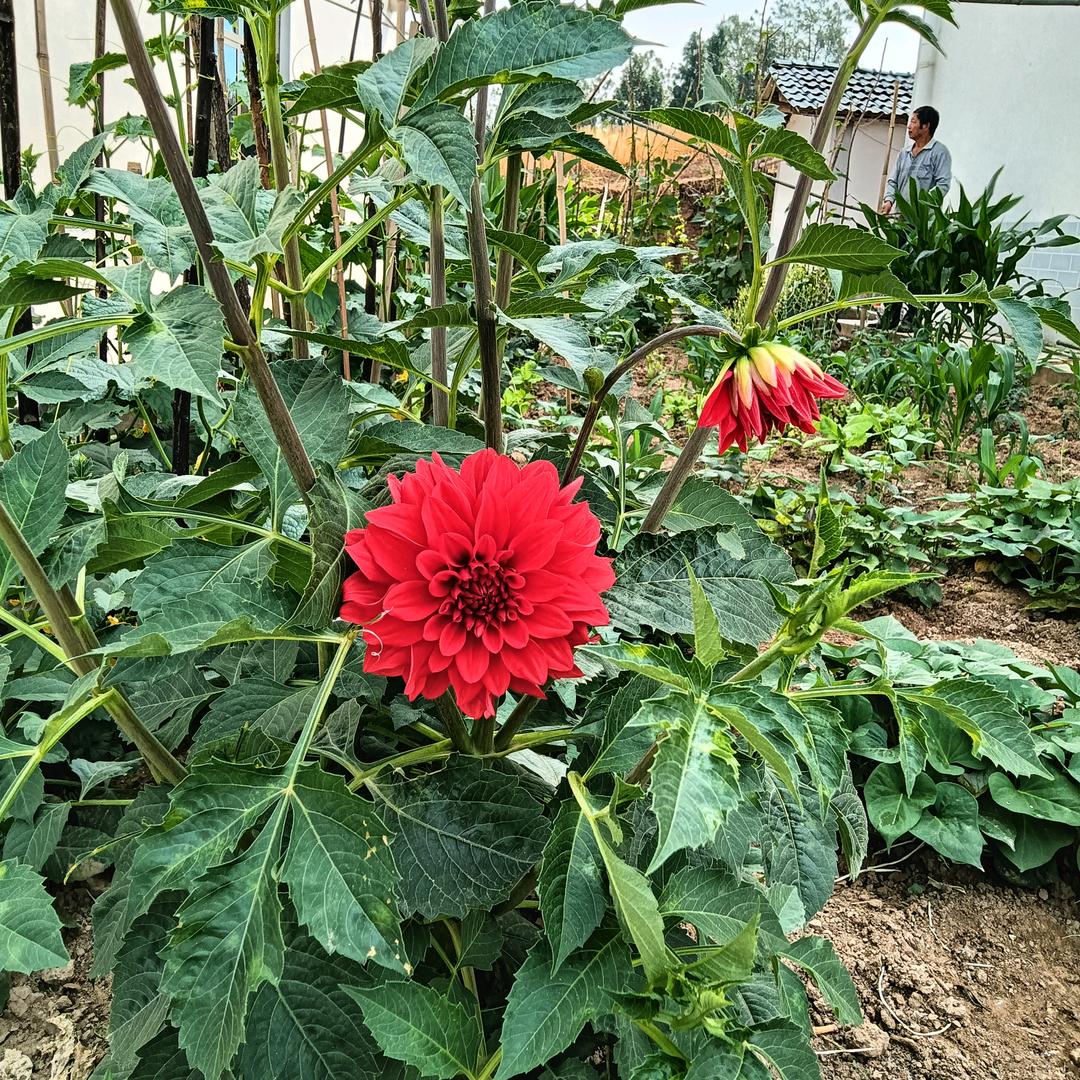 对方已下线