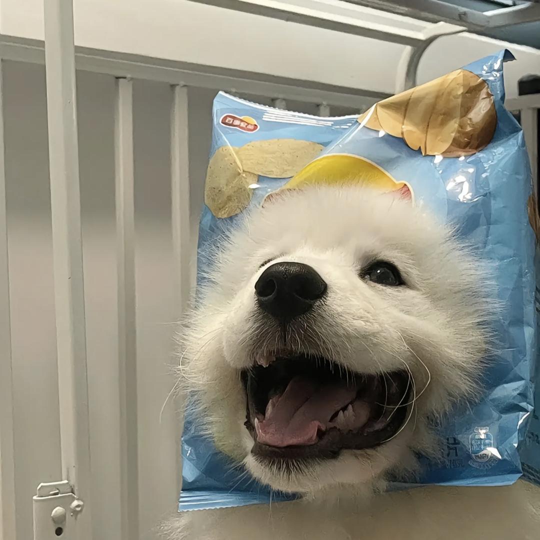 木梳